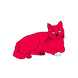 Liz Whiteman Smith - Disdainful Cat