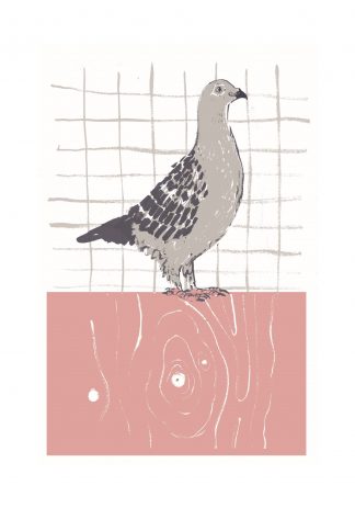 Thundercliffe Press - Homing Pigeon
