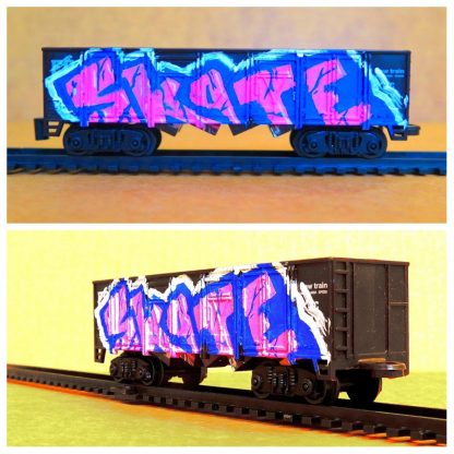 Skatin Chinchilla - Model Trains (Graffiti Carriages)