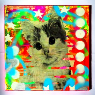 Barrie J Davies - Kitschy Cat (canvas)