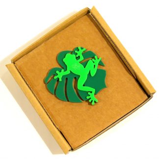 Acrylic Frog Brooch