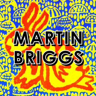 Martin Briggs