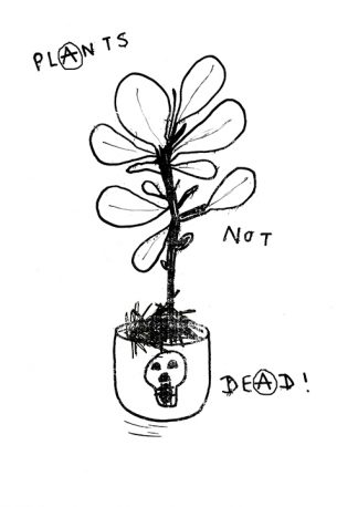 Chris F Clark - Plants Not Dead