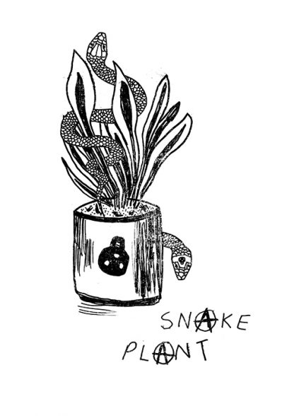 Chris F Clark - Snake Plant